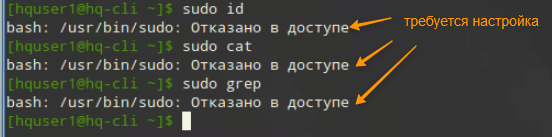 Скриншот из исходного Word, 49